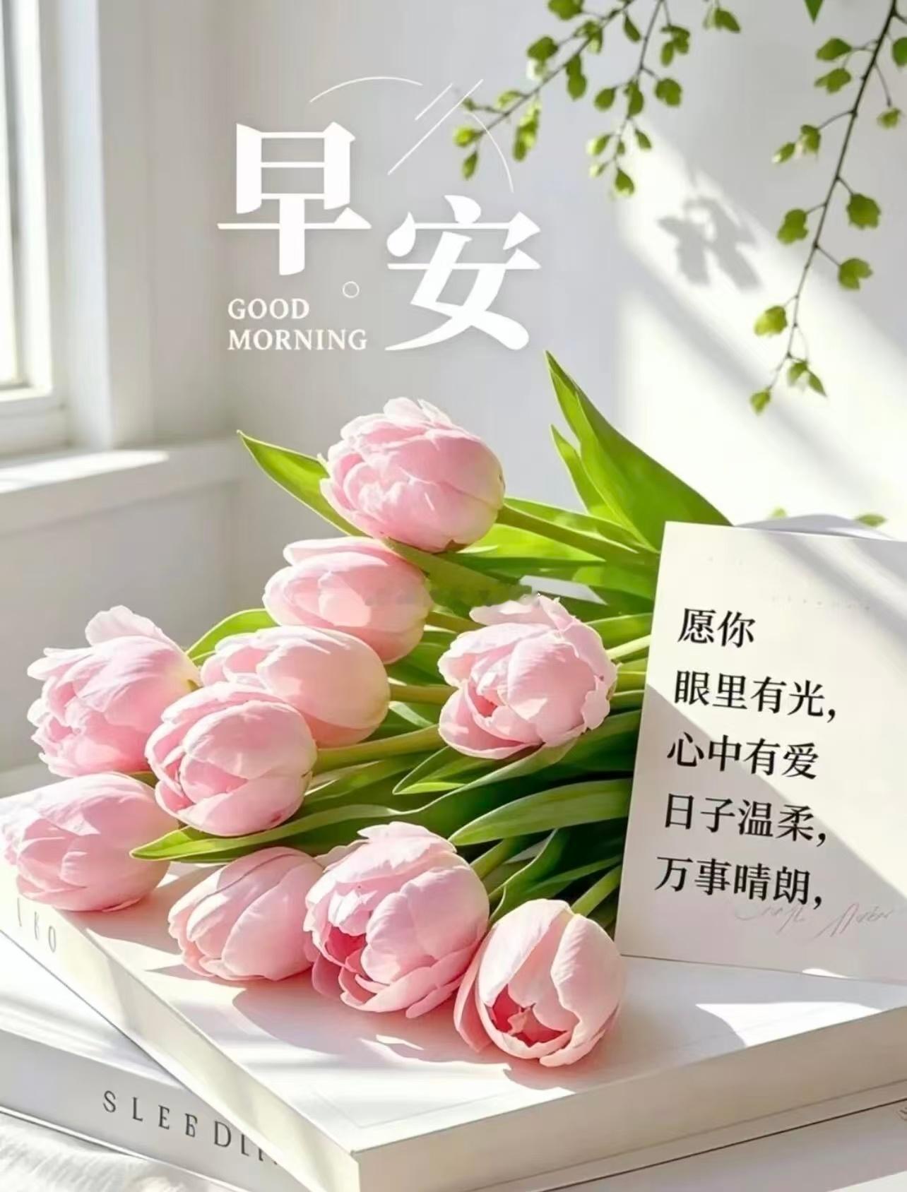 【周五，早安】生活由无数微小的温柔组成： 一缕风，一朵云，一个好心情，愿你善于捕