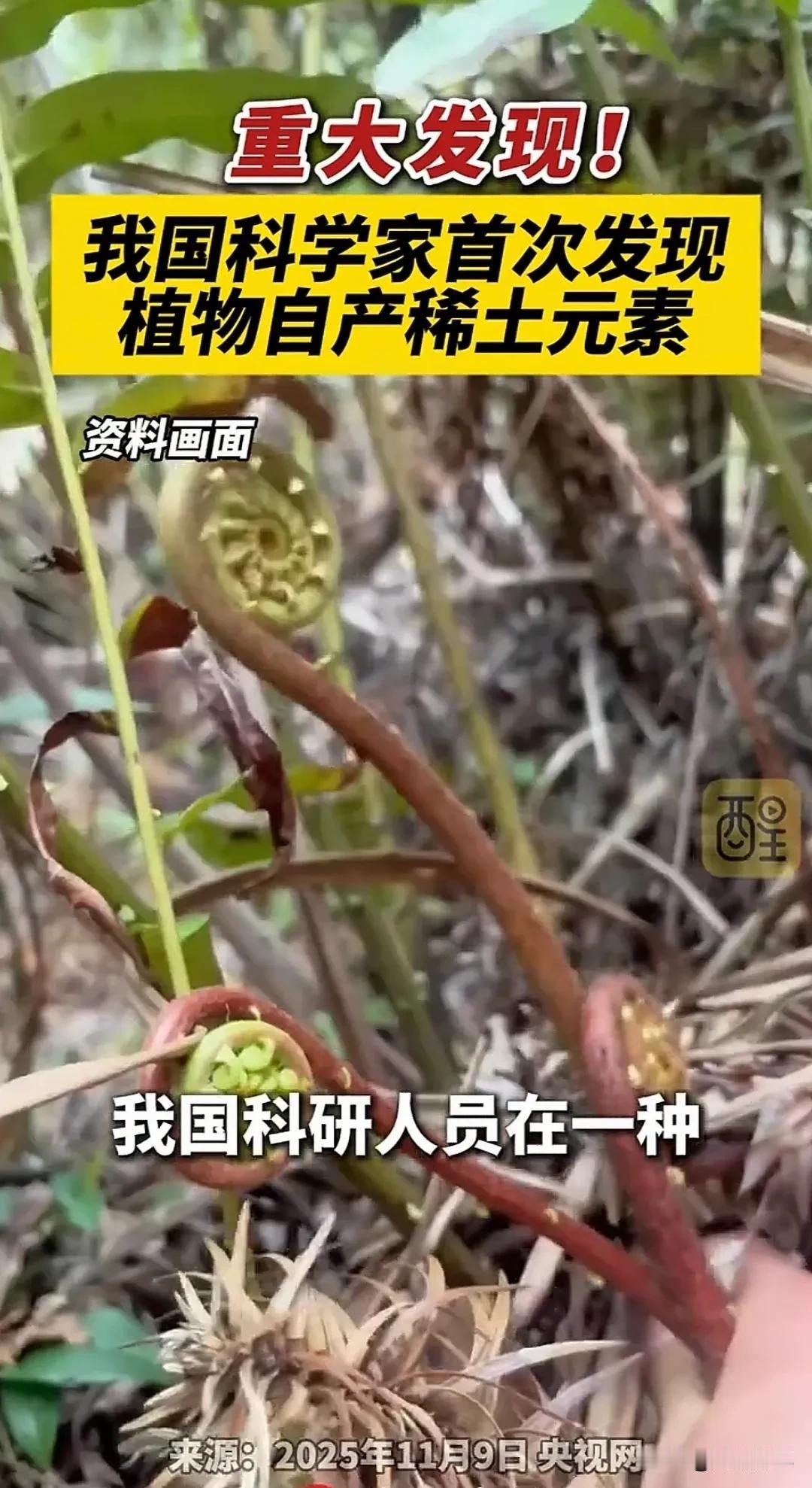 国运来了挡不住！中华有道，物华天宝。

谁能想到，一句古老的“地蕴天宝”，  