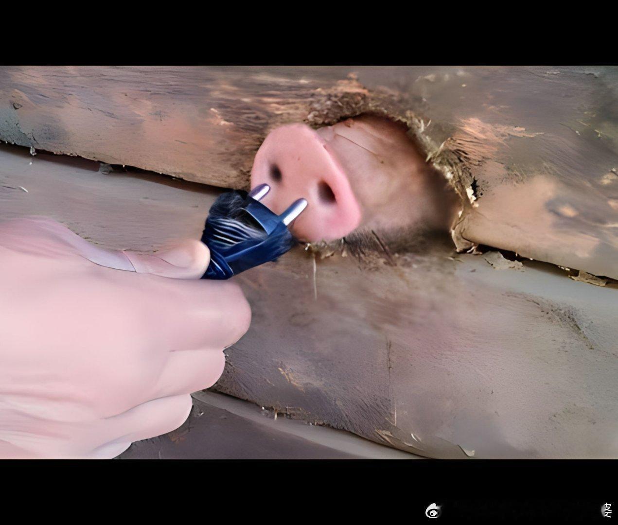 下周上四休三2026新年拆东墙补西墙第一弹，从国务院旅游工作部际联席会议安排开始