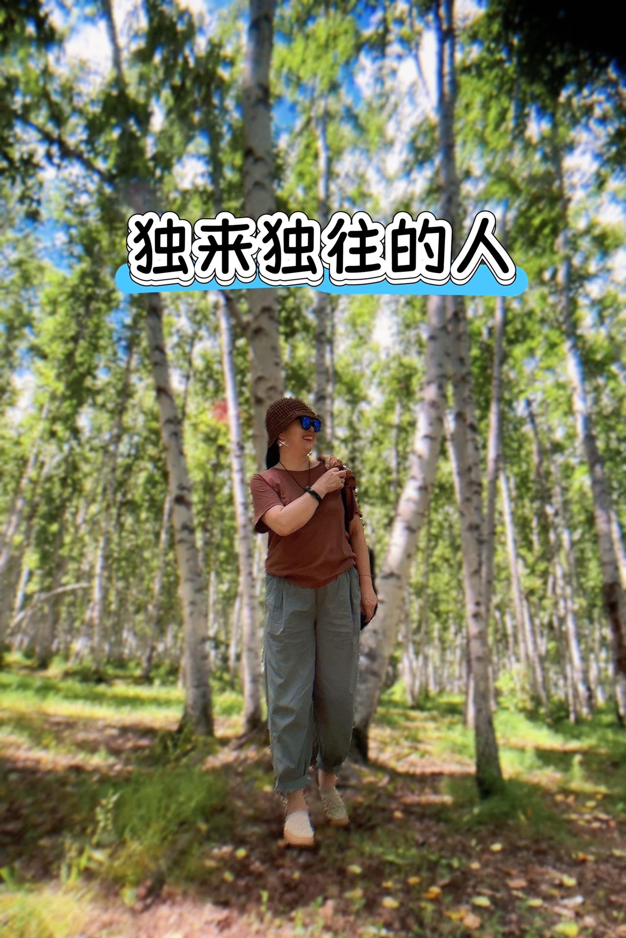 独来独往的人白桦林