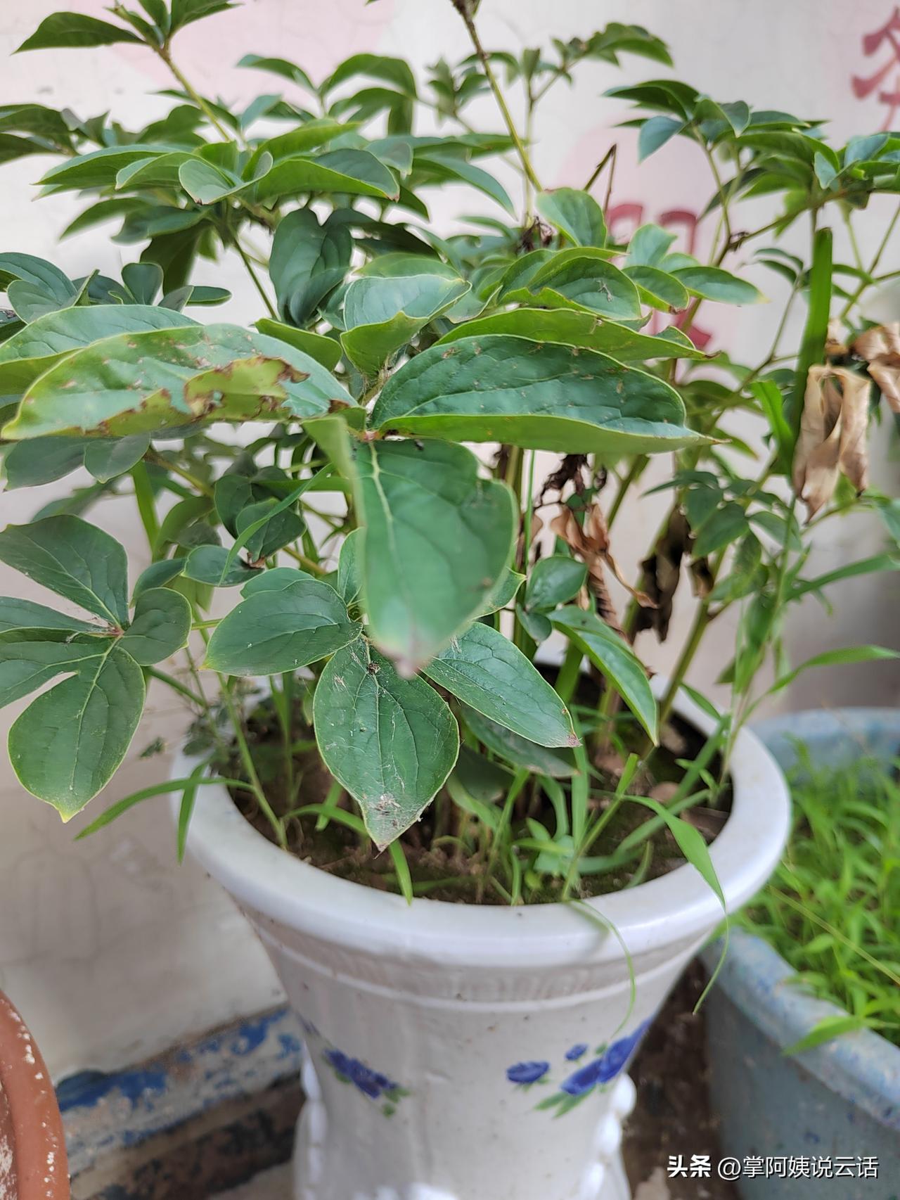我敢肯定地说，会孤独！
正常上班的时候，每天早上一睁眼就得赶紧爬起来，慌慌张张去