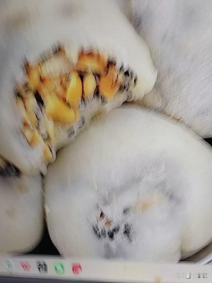 夏日生活打卡季 夏日来一份花生糯米糍，简直美滋滋！花生可是补血王，搭配糯米，不仅