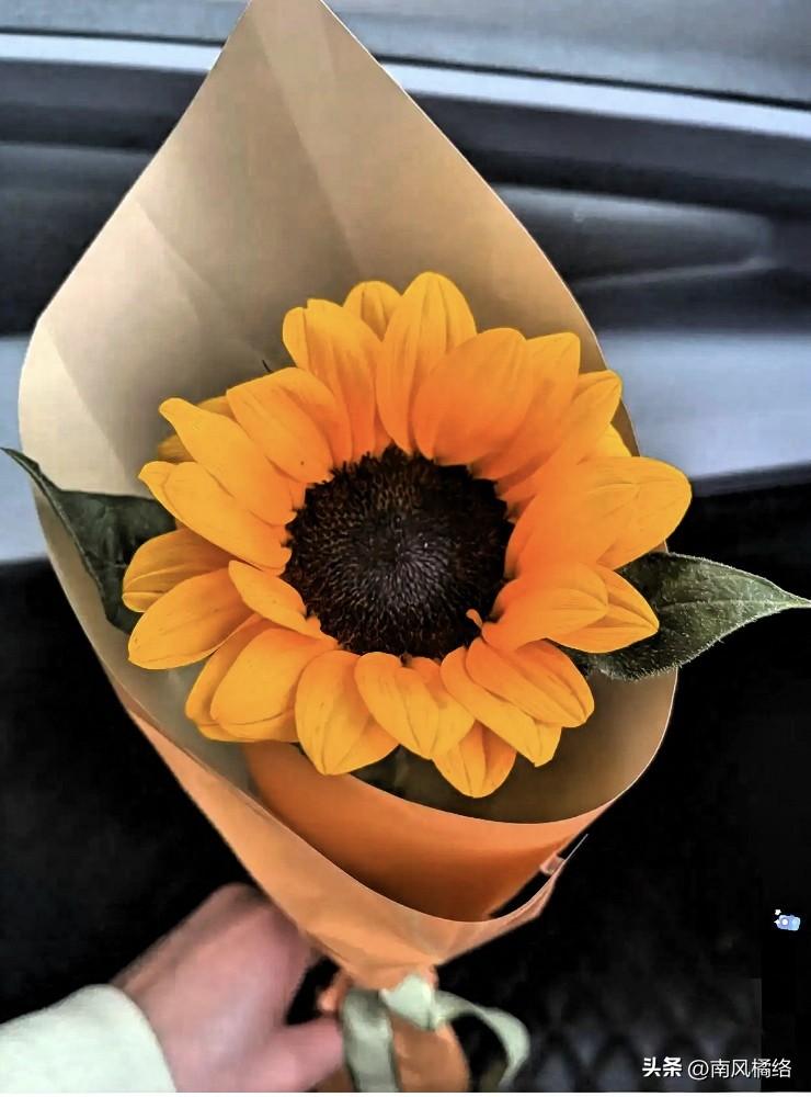 退休后不想去老年大学，这位阿姨的话戳中了无数老人的心。

现在不少长辈退休后，总