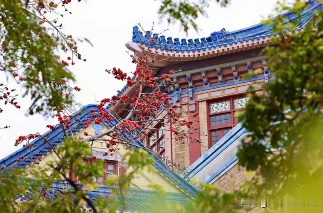 最近广东的天气是真会“搞事情”！12-13日明明被高压脊“霸屏”，白天太阳烤得人