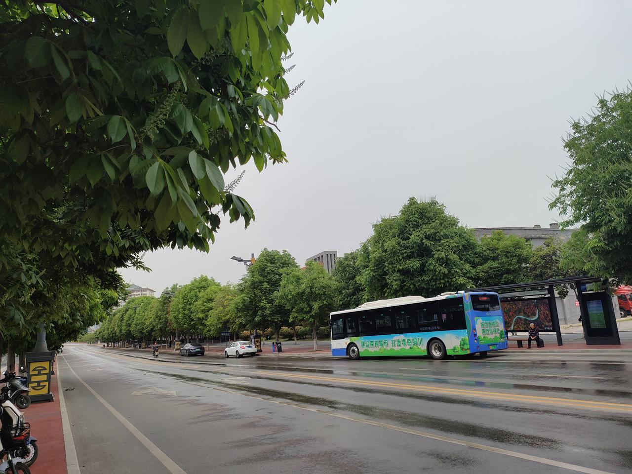 春日生活打卡季雨后的街道，空气里带着湿润的草木香。湿漉漉的路面映着树影，公交车缓