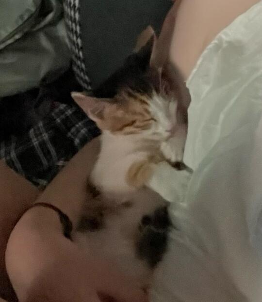 终于当妈了🥺