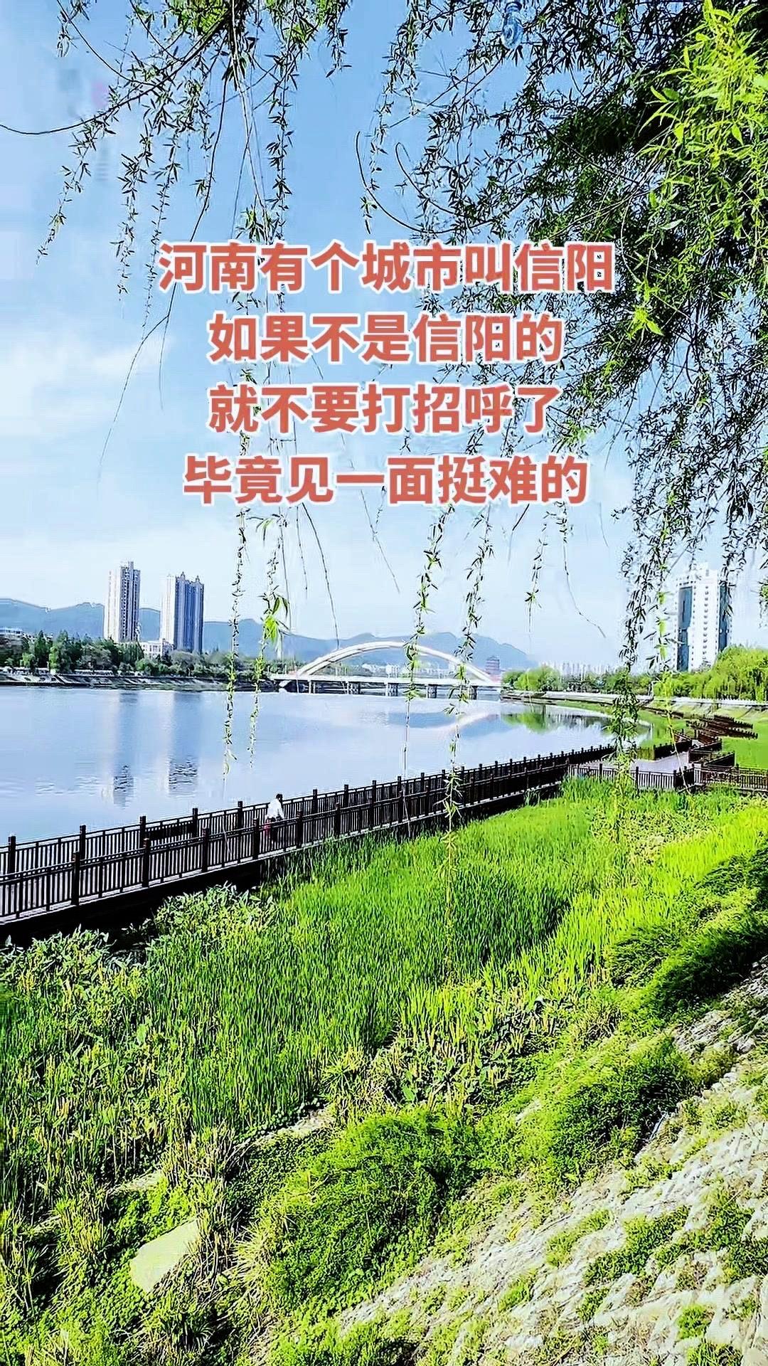 **山环水绕信阳城，一步一景皆动人**🌿信阳的春天，藏在每一条蜿蜒的河畔。
沿