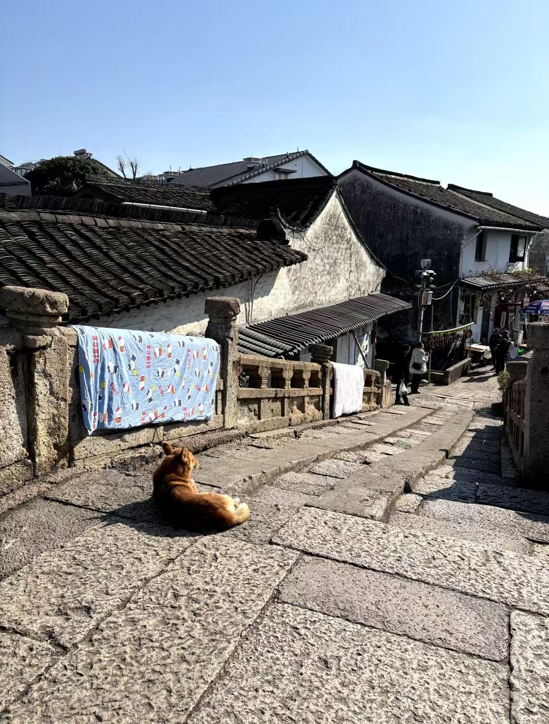 养老过得体面的16种现象，不一定是手里存了几十万！

1、手里有退休金，哪怕不多