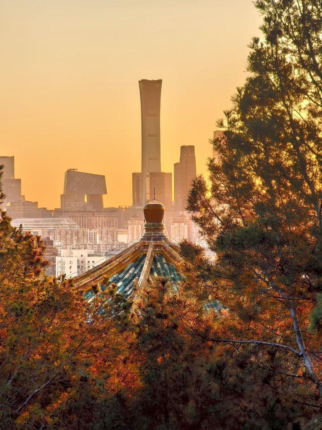 用脚步逐光，与落叶共舞，每一片落叶都等待着去追逐它、追逐光的人。