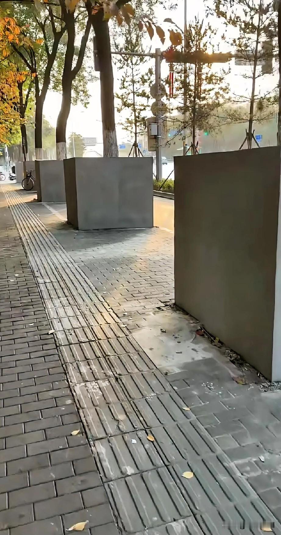 这是什么操作，绿化道风景树，用水泥围起来。应该还没有完工，是干挂大理石好还是贴瓷