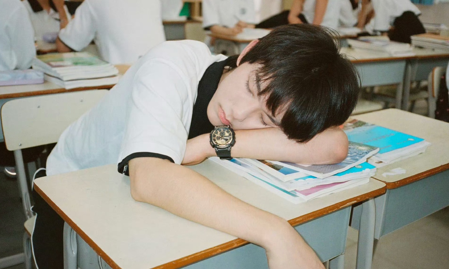 马柏全白冬阳 🐕马柏全 未检之名 浩浩睡觉😪 