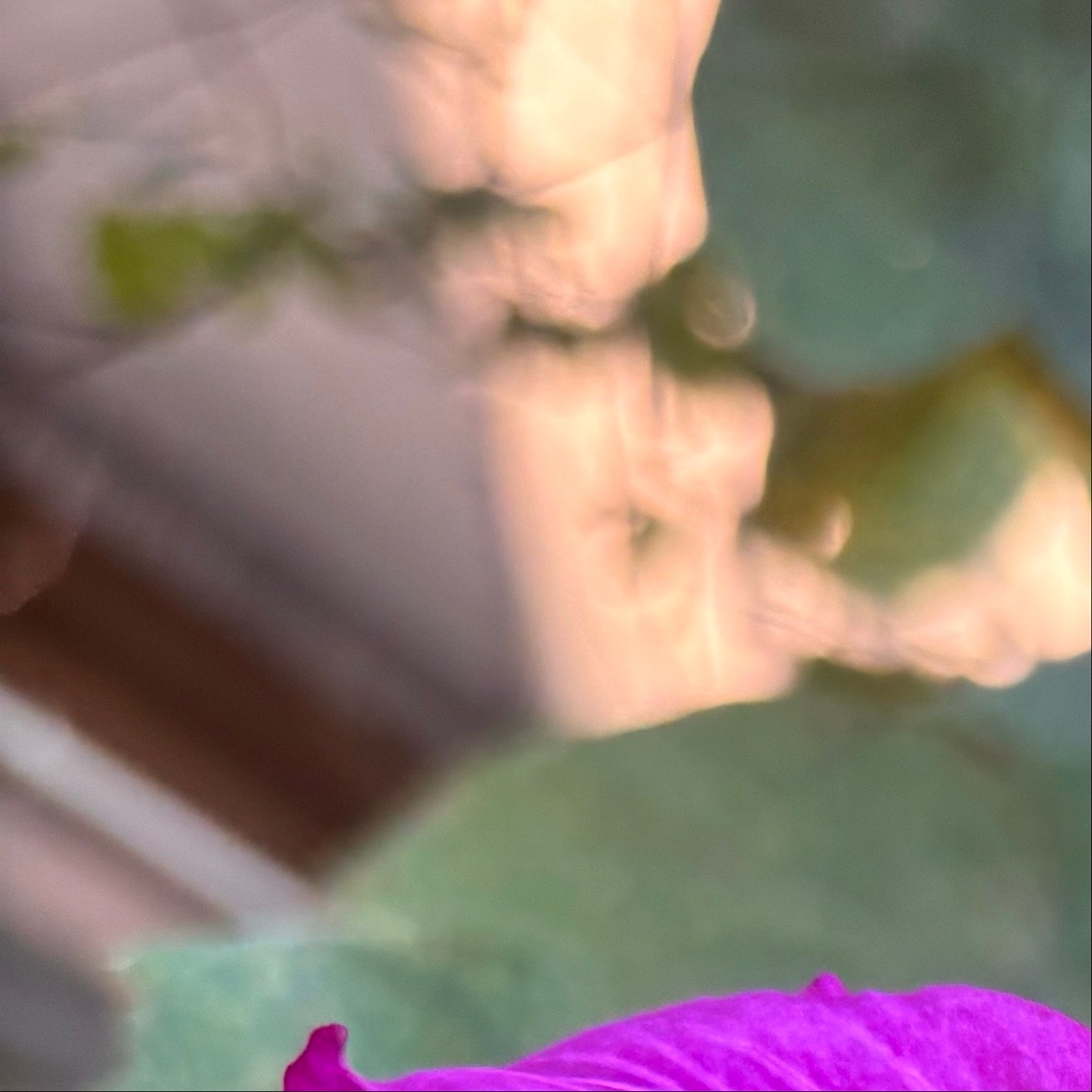人生之路，一如那曲折蜿蜒的溪流，有时湍急激荡，有时平缓宁静。当遭遇困境，心似那飘