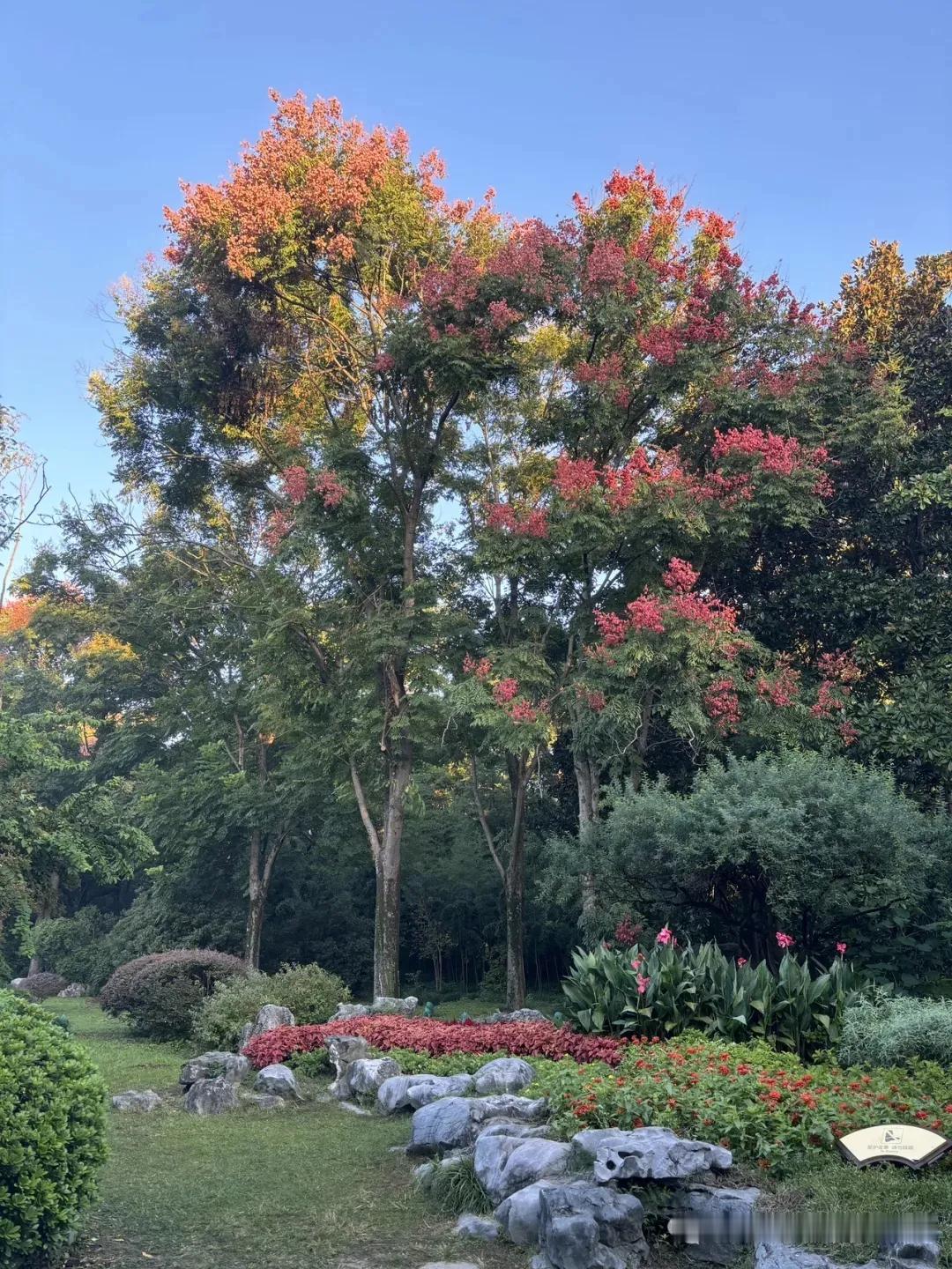 青山绿水春常在，（长春）
树木丛林立永恒。（吉林）