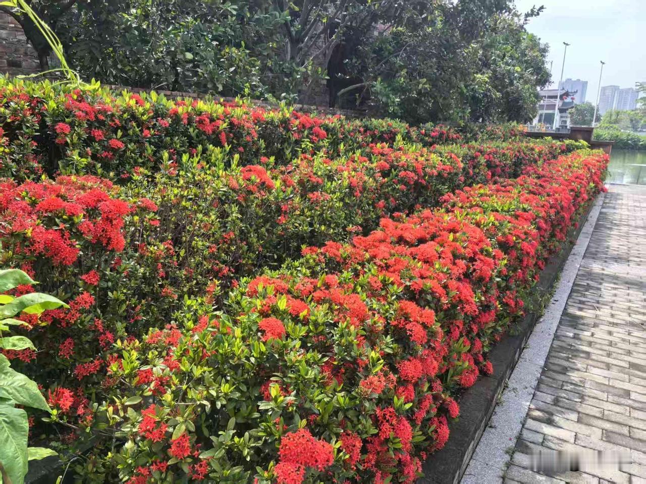 天气太热了，找一个安静的古村转一转，没有城市繁华的喧嚣，只有宁静和甘甜的咖啡。