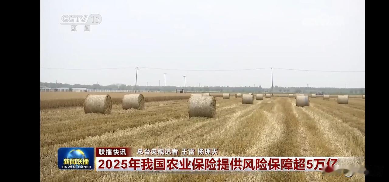 丰收的田野，金色的麦浪，农业保险保障丰收！
