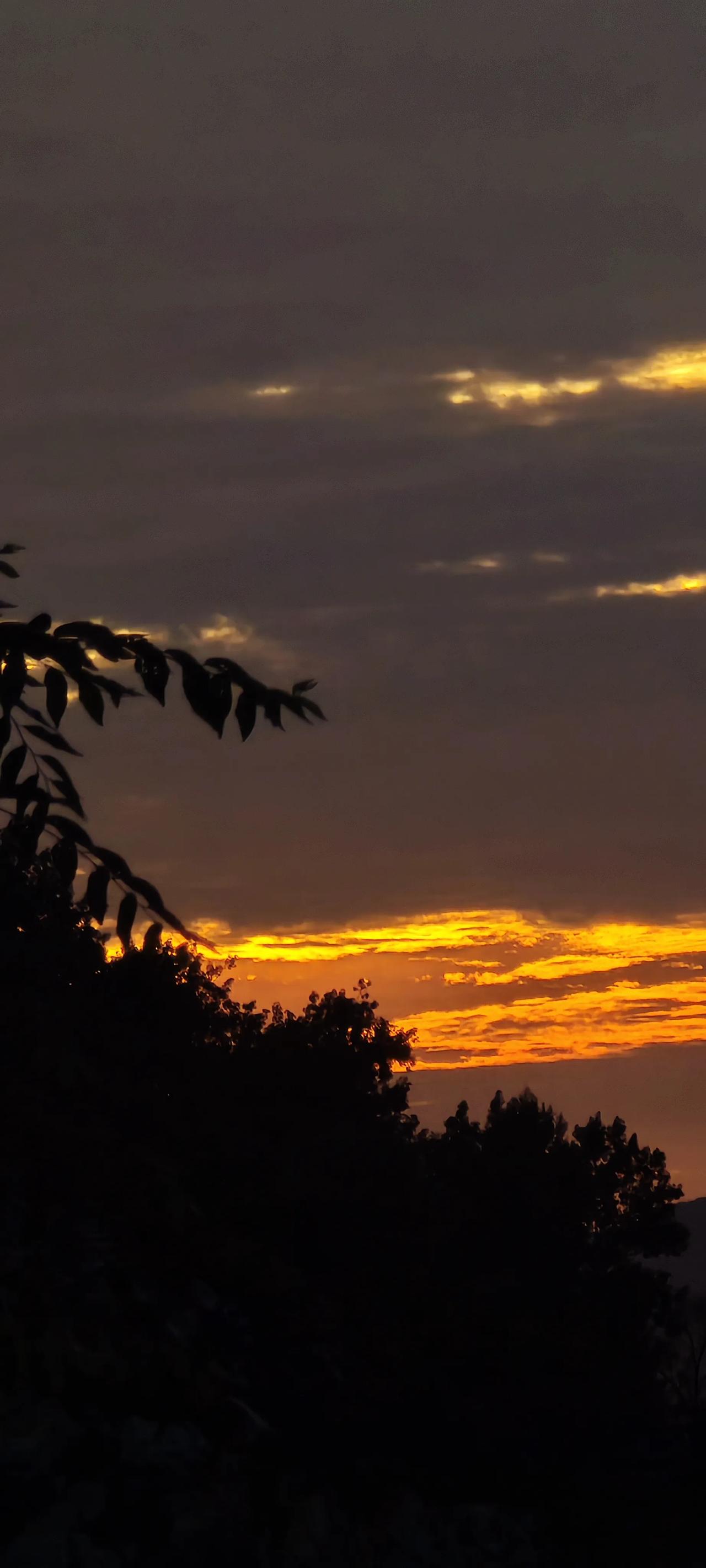 夕阳