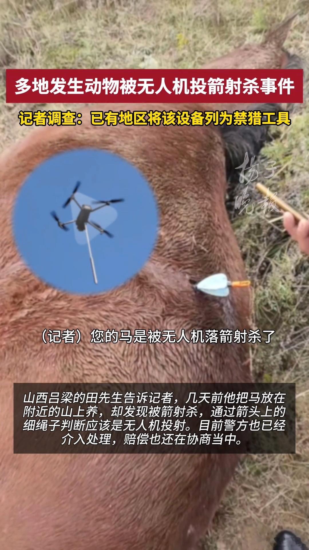 无人机热成像射杀动物如果误伤到人了怎么办？[衰]现在有很多人野外徒步、露营一些探