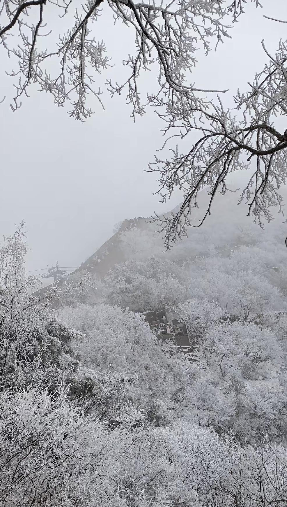 最近发现身边好几个人都拖着不还，说“反正上不了征信”“起诉又咋地”，但问他们真不