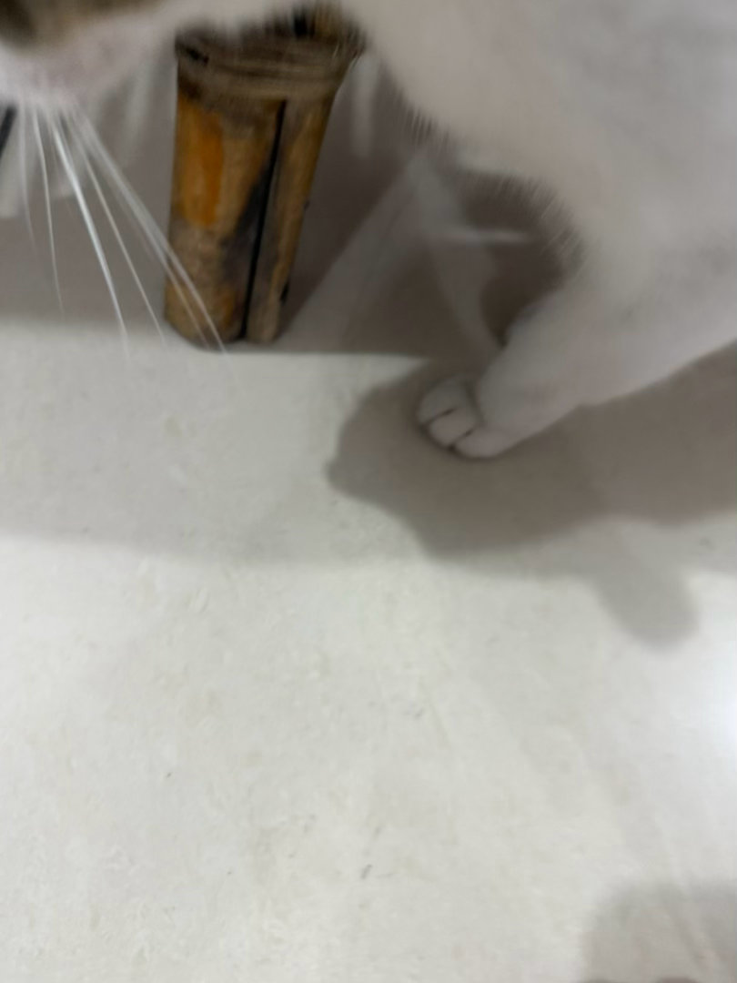 戀人墓  足控福利 
