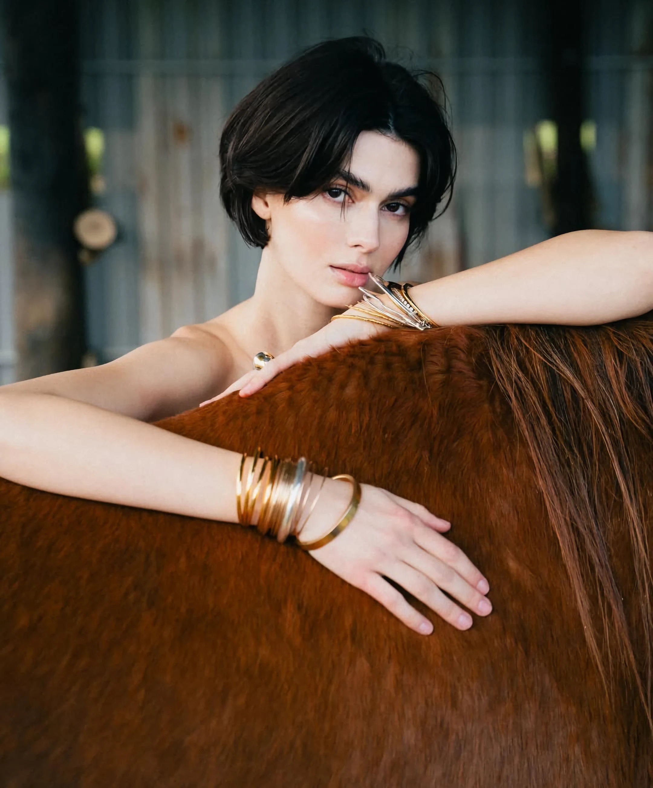 🐴摄影