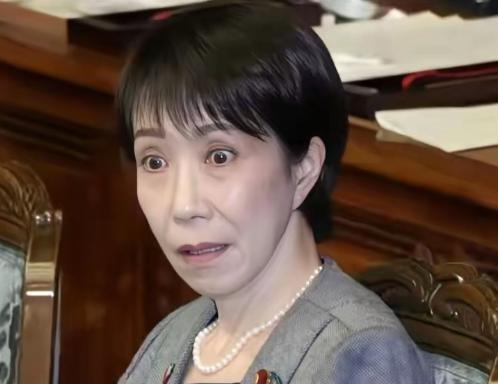 高市早苗现在终于明白了，说了这样一段话！
 
2月25日，在日本参院全体会议上，