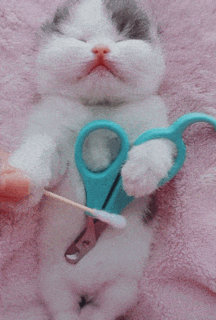 今儿得早点睡。明儿又该上班了