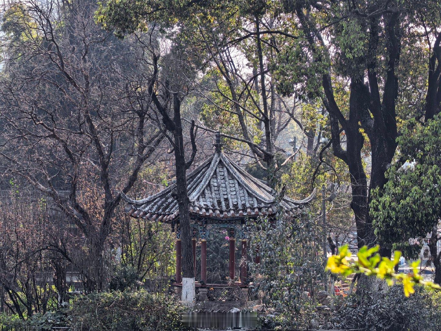 昆明人骨子里的温情与年味篆新农贸市场里，摊主总会多塞一把小葱给熟客，那句“明年再