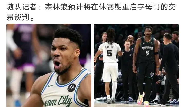 这回森林狼要下定决心拿下字母了
看起来战绩不错实际上一碰就碎，防守，进攻，组织，