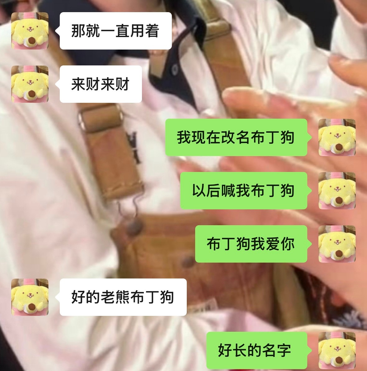 这个布丁狗还是有点玄学的