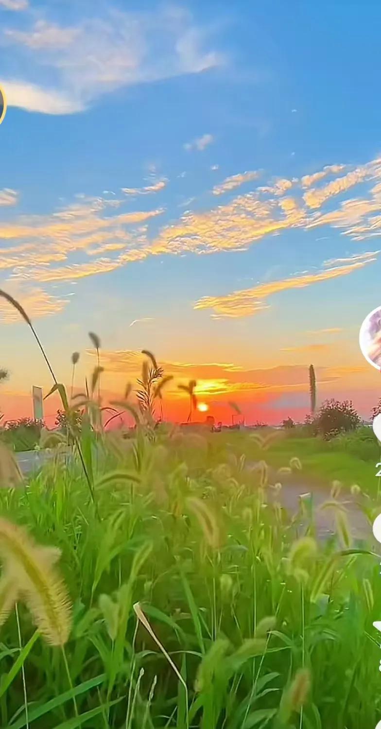 老人摔倒，不是路人不想扶，而是怕扶了惹麻烦。有的老人把他扶起来，他反而倒咬一口，