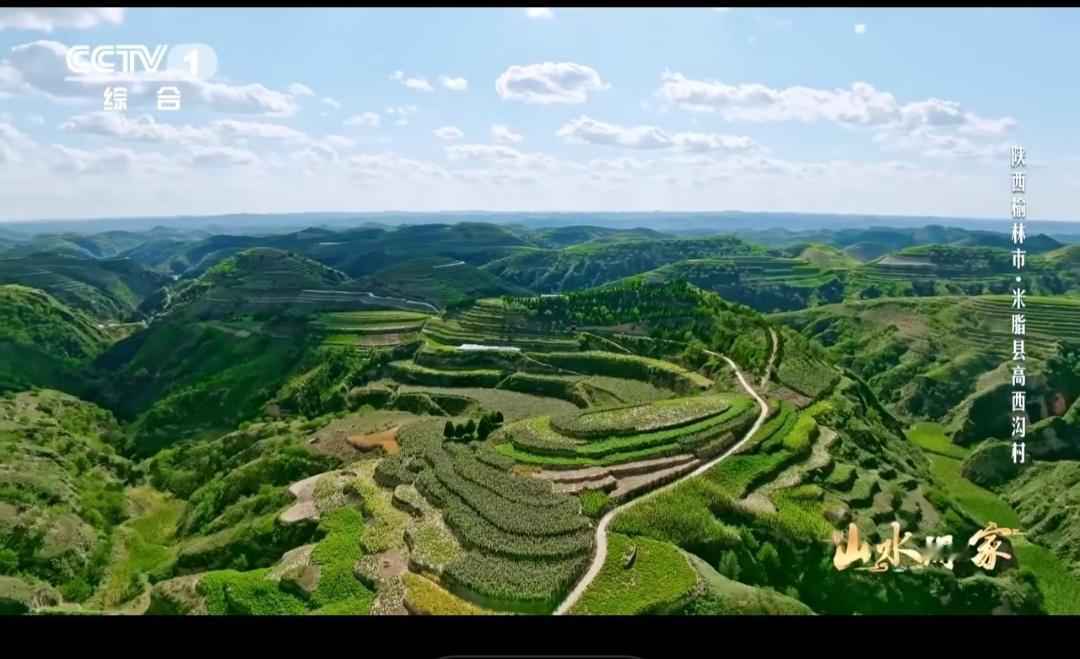 黄土高原变绿了不是滤镜特效，是实打实的绿意逆袭！黄土高原蜕变成“抹茶千层”，每一