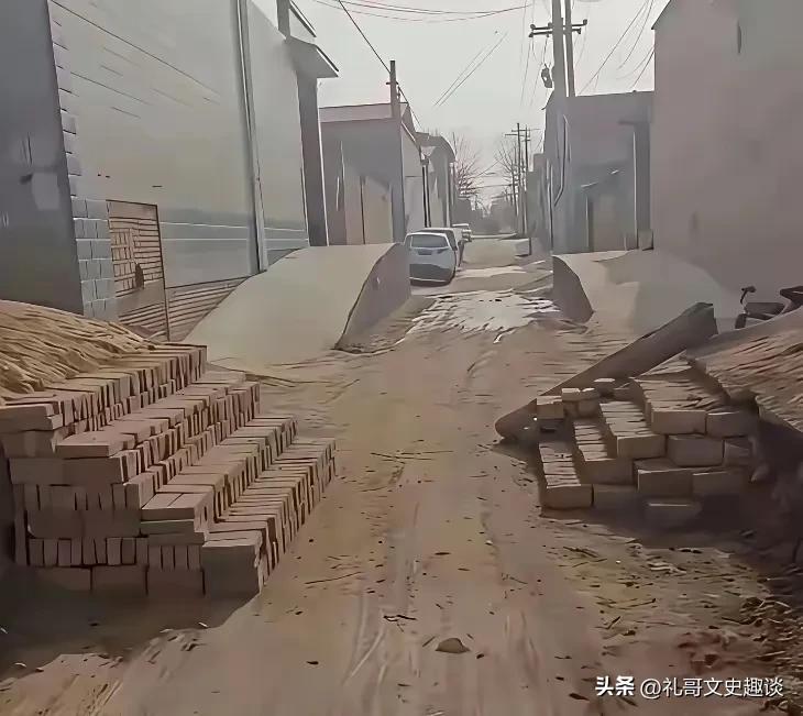 村里能有几家这样的几户人家算是不好过喽。你瞅瞅，一条好好的大路，被这几家给挤兑的
