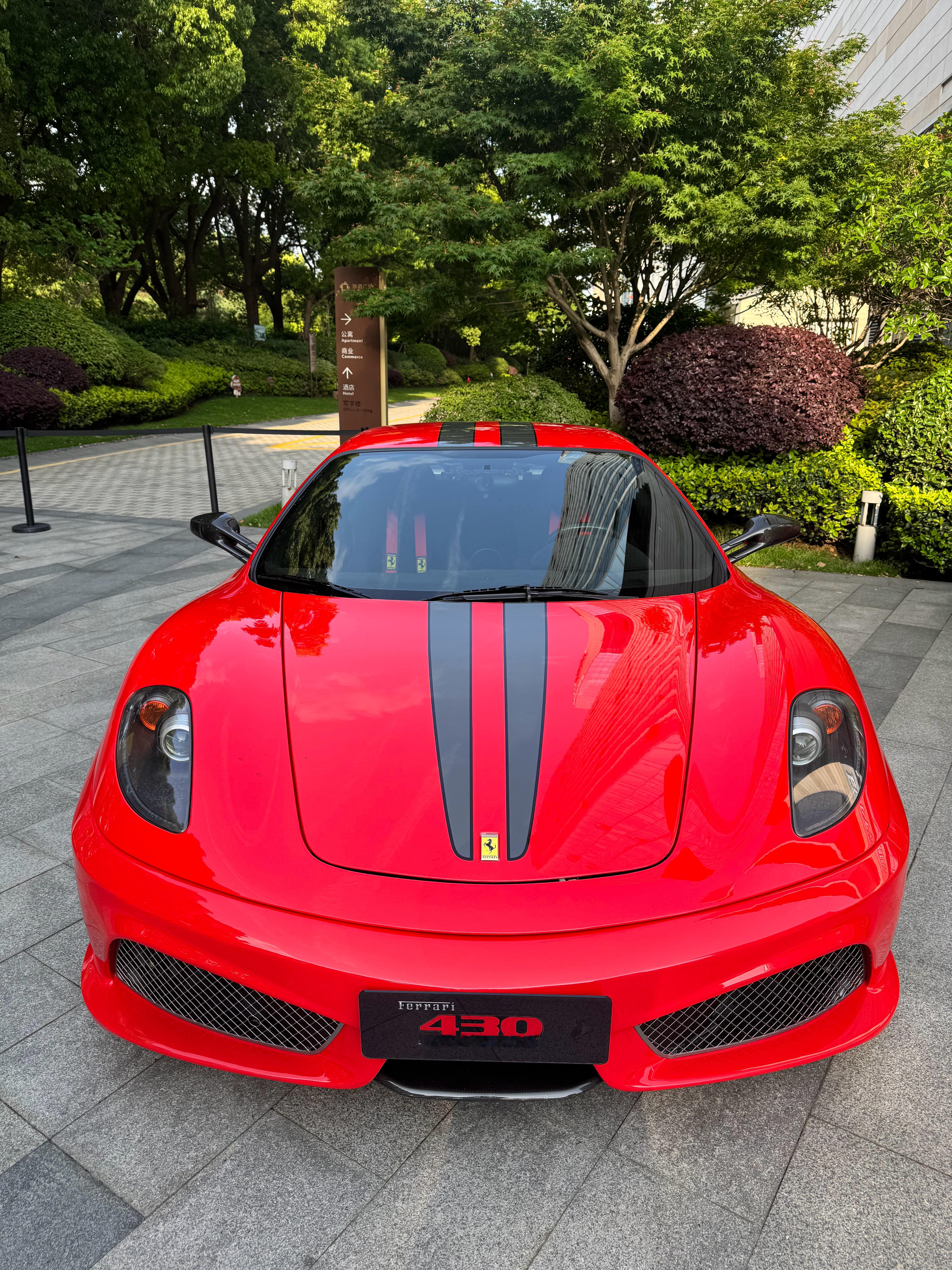 以马为伴的一天  😄 