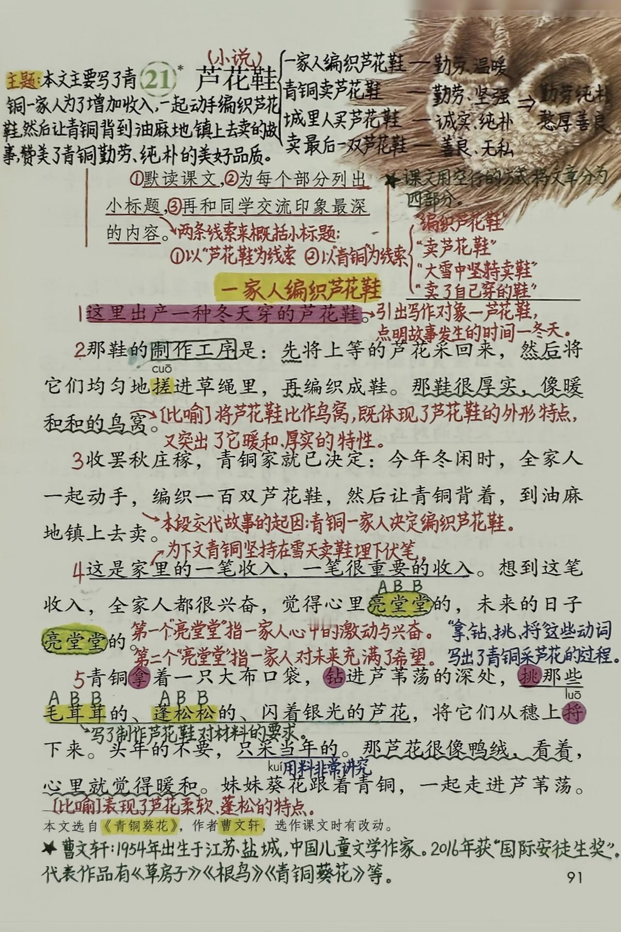 四年级下册语文，第六单元第21课《芦花鞋》课堂笔记，收藏备用