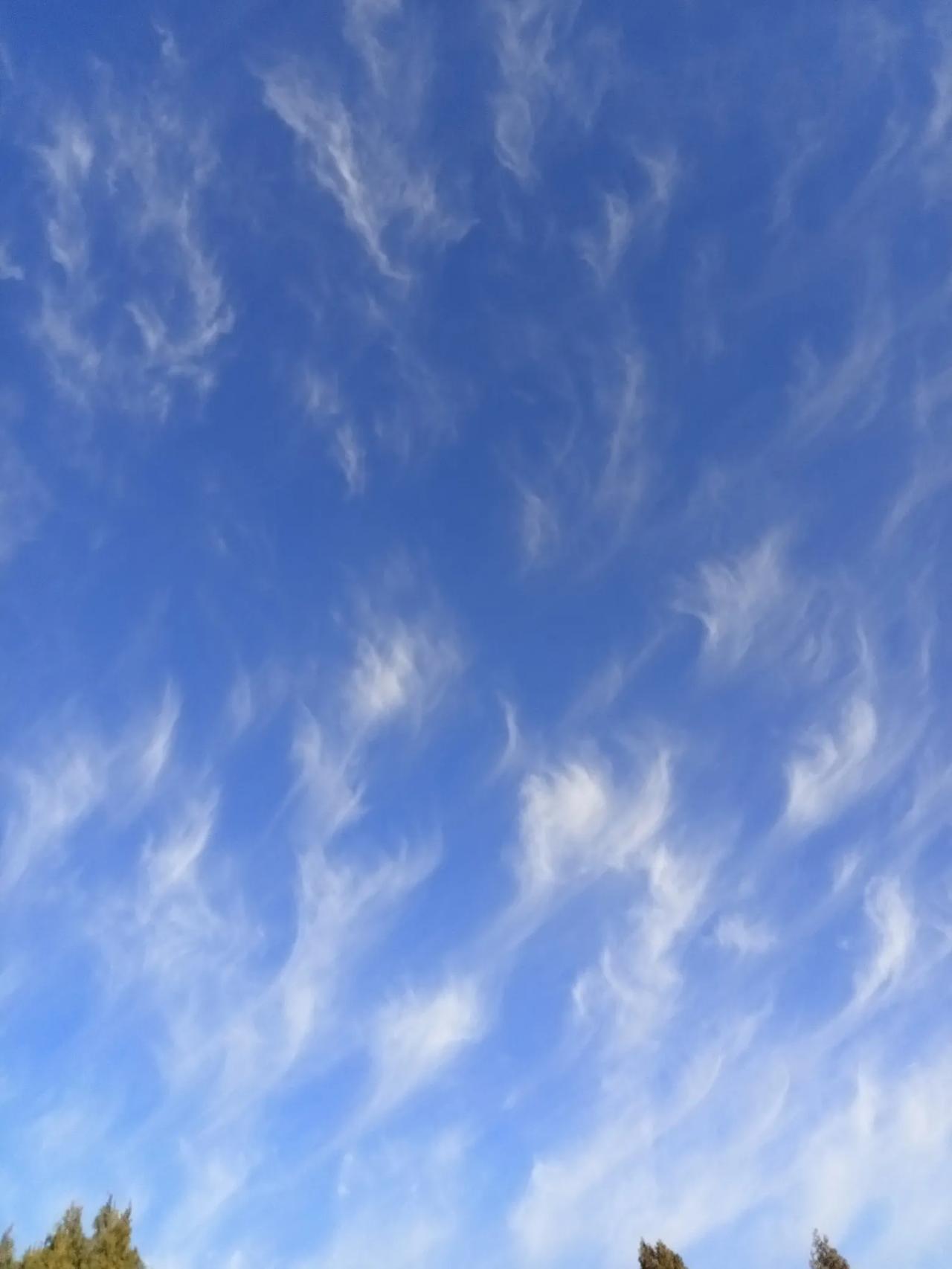 晒图笔记大赛今天早晨少云，晨练随手拍的天空。