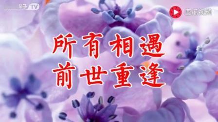 记录我的2026 前世重逢，今生再续缘