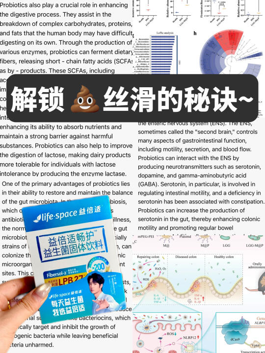 拒绝🚽反复堵车，成分党教你当天选拉屎人！