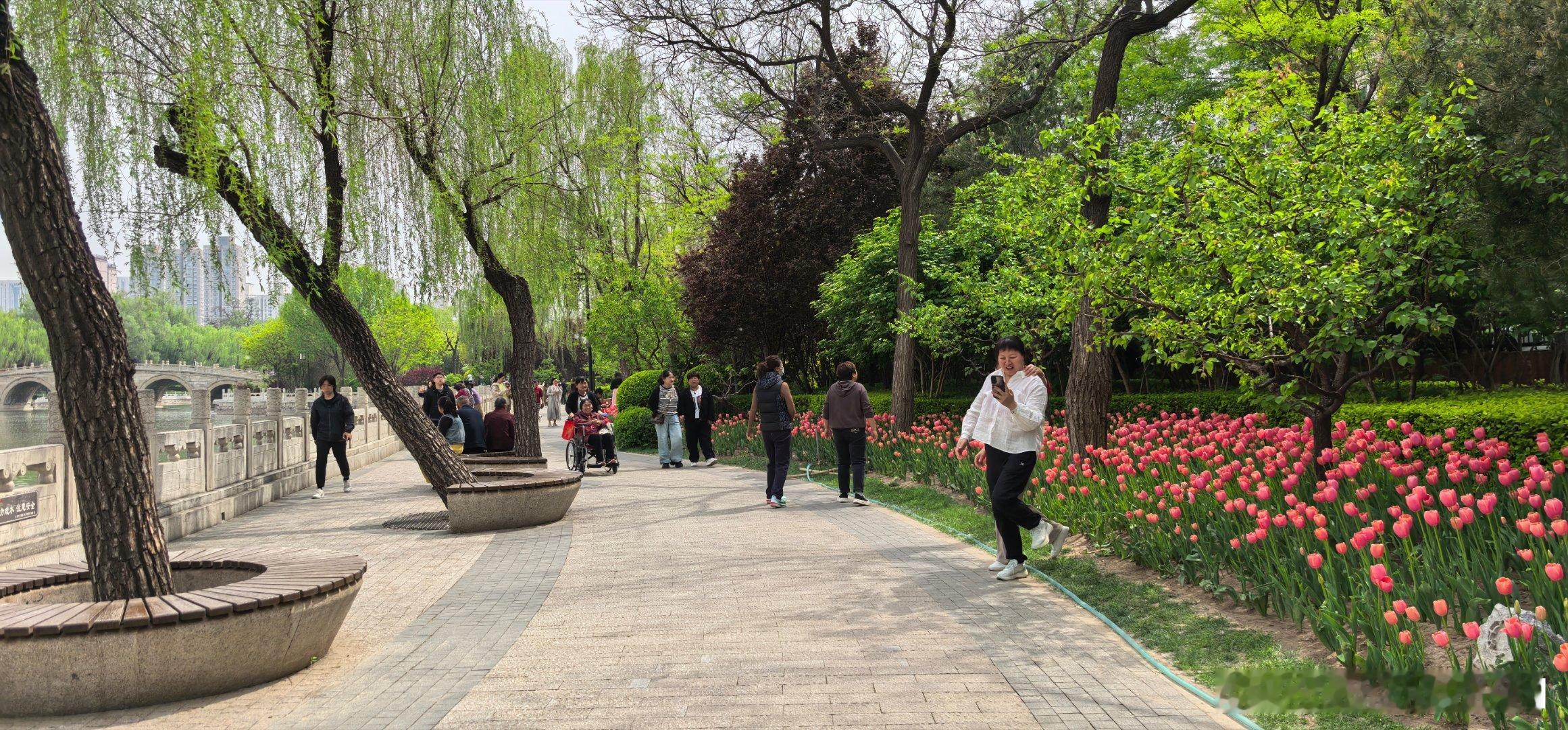 此刻迎着阳光慢慢走太原迎泽公园 