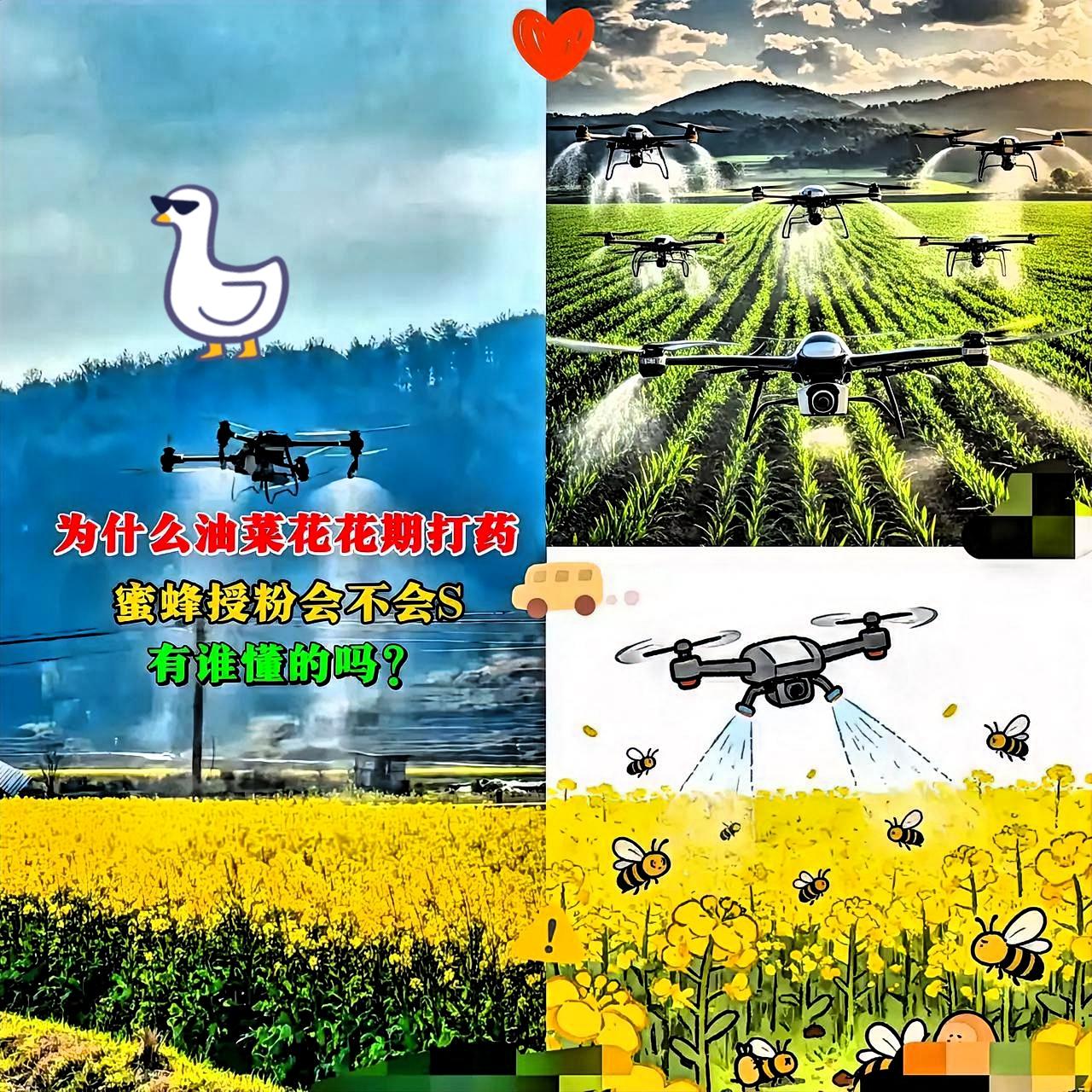 官方这次动真格了！油菜花花期乱喷药的人，这下真的慌了！
 
看着蜂农蹲在田边，望