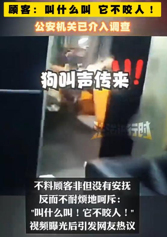 云南昆明，外卖员送餐至某租车行二楼，刚推开门，三条未拴绳、肩高近一米的大丹犬狂叫