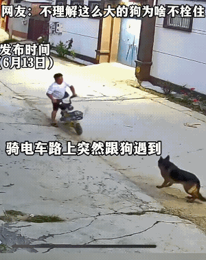 骑电动车的男子，在街上突然遇到一只大狗，它挡住了男子的道。
他和它就这样子僵持着
