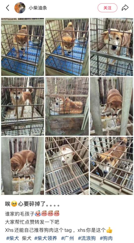 广州的ee看看我们呀