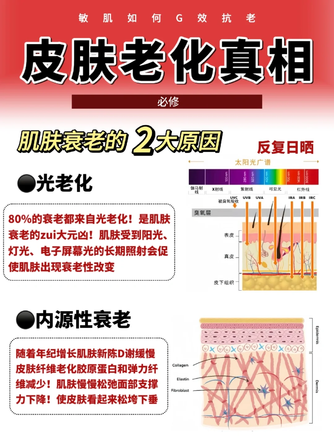 喂饭级攻略！抗老的尽头就是抗光老化