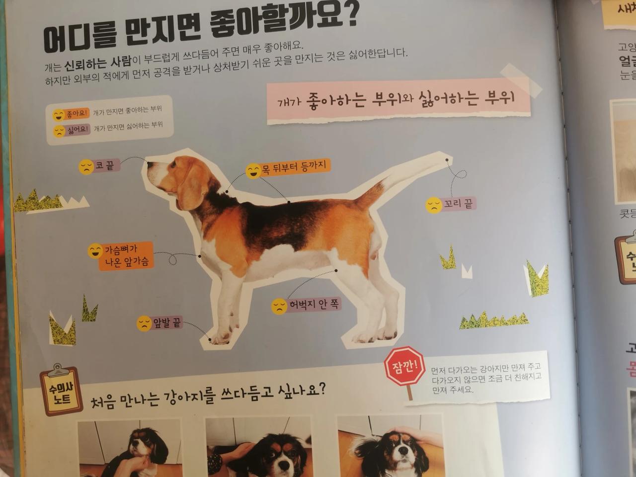 我孙子幼儿园的课本，小动物们哪些危险动作和喜欢都有教[捂脸]