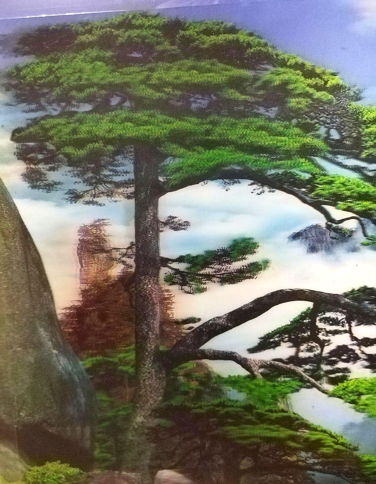 游客的觉醒。
你黄山山上平时268元宿舍，十一涨价到4980元，我发起“帐篷经济