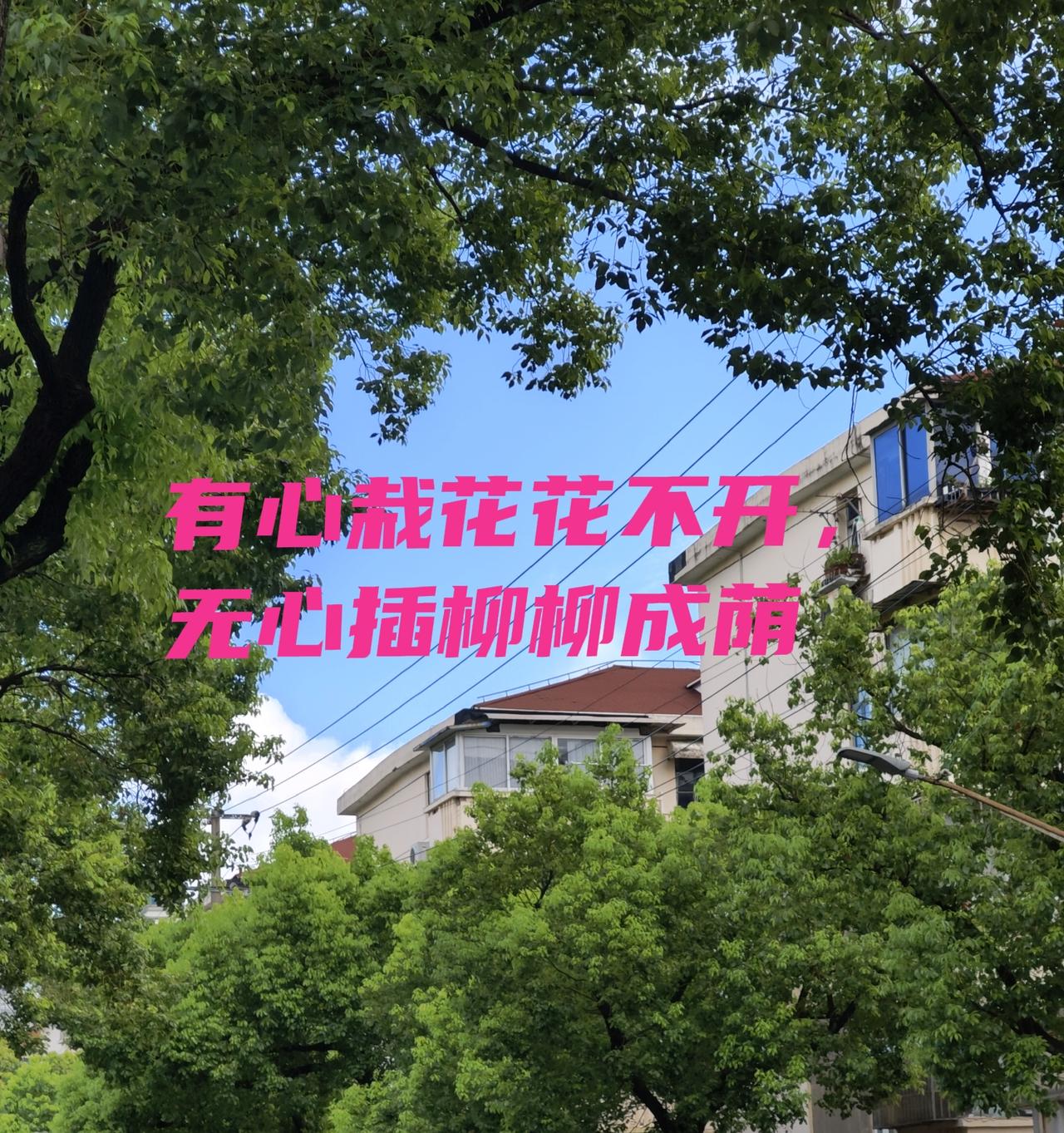 不知不觉倒是爆了。
认认真真反而落入悬崖
如同好好耕耘一方田地，
踏实播种，静待