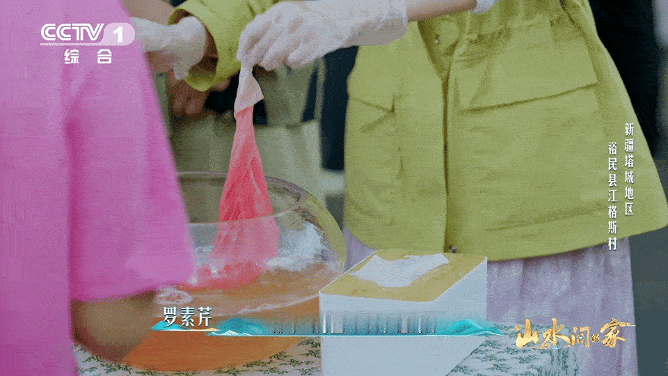 一朵花竟然可以染出这么多种红色这种花是植物界的染色大师 一朵花能染出一系列红色系