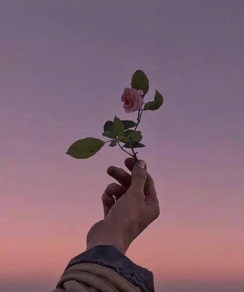 印象里还是那个老街窄巷、找个落脚处都费劲的小镇。今晚一推门——愣了。智能窗帘，感