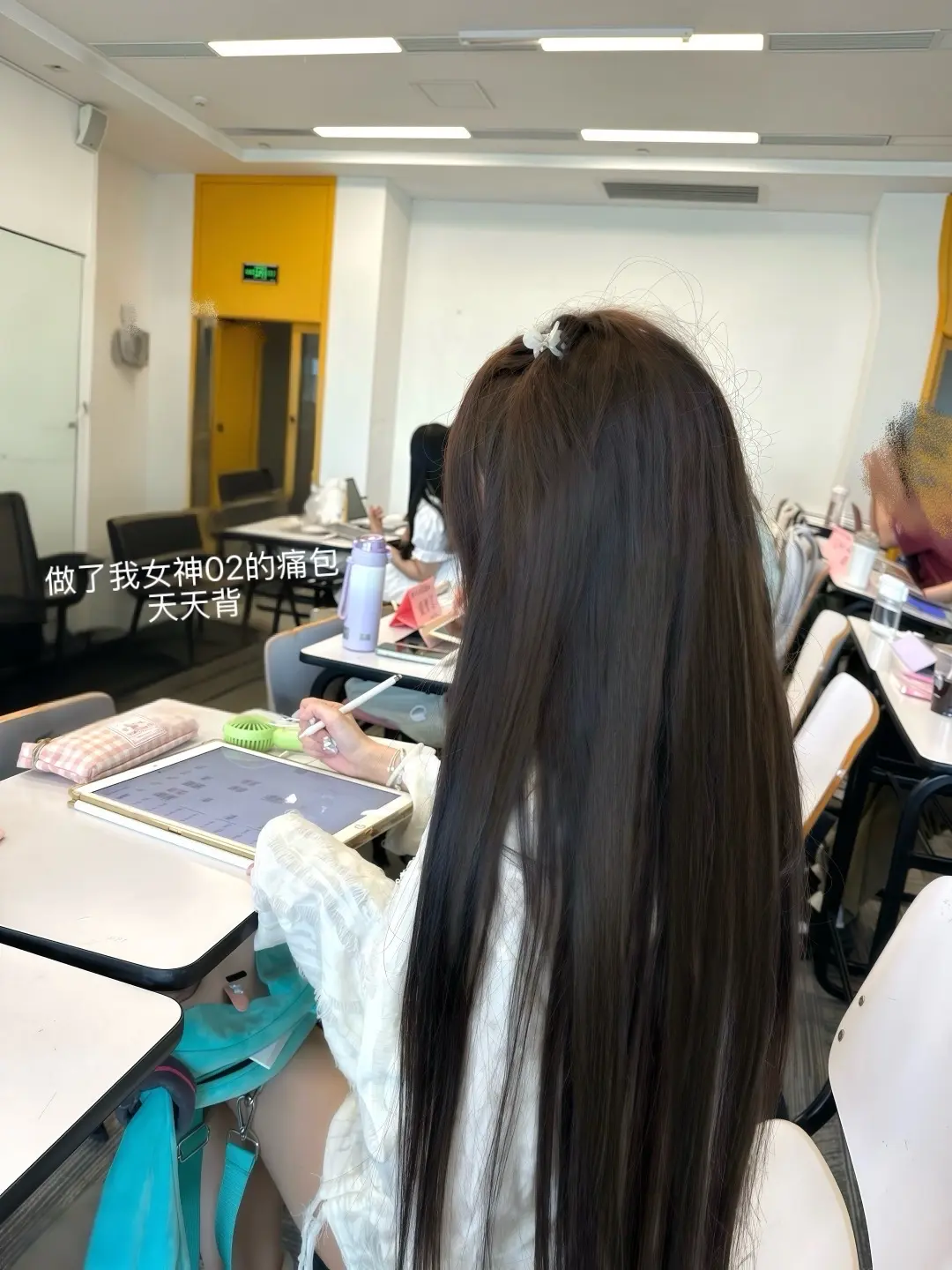 小学期限定回忆（去年小学期拍了很多照片 但是忙着旅游和准备开学好多图都...