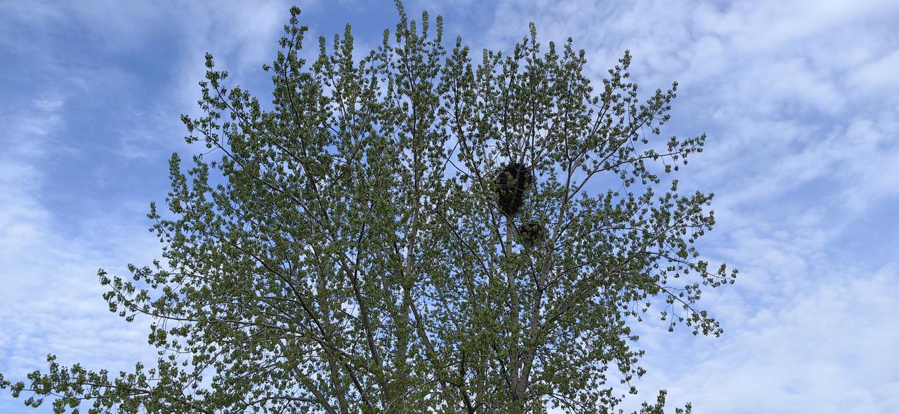 保险代理给我打电话,让我今天9点半去听课,礼品是五粮液的酒。

听到礼品是五粮液